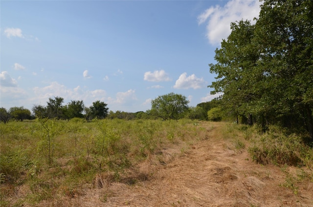 view of nature with a rural view