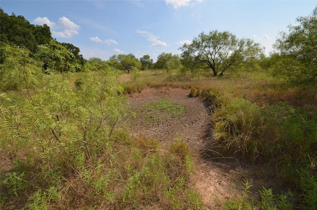 view of landscape with a rural view