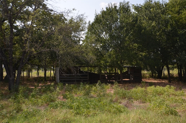 view of local wilderness