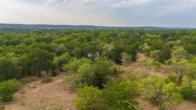 TBD S Wizard St, Jacksboro TX, 76458 land for sale