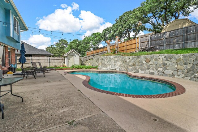 view of pool featuring a patio area and a storage shed