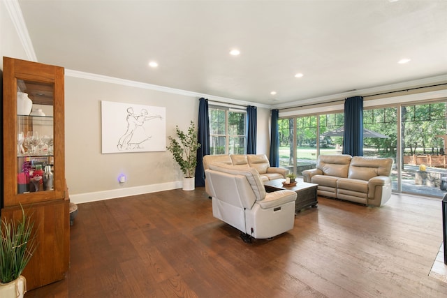 living room featuring dark wood-type flooring and ornamental molding