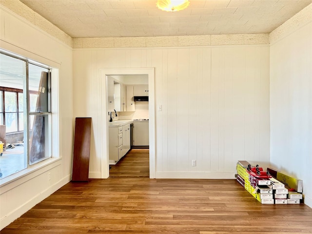 empty room featuring sink and light wood-type flooring