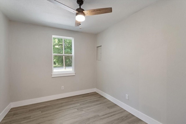 empty room featuring ceiling fan and light hardwood / wood-style flooring