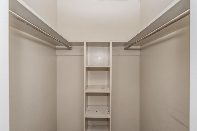 view of walk in closet