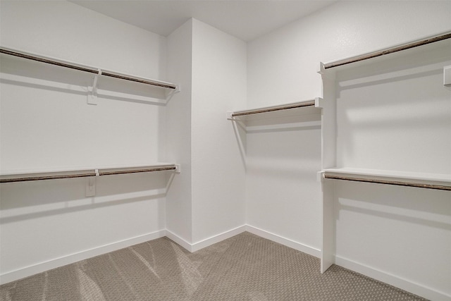 walk in closet featuring light carpet