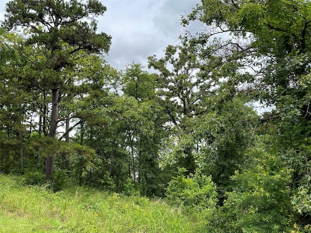 15929 Shepards Gln, Lindale TX, 75771 land for sale