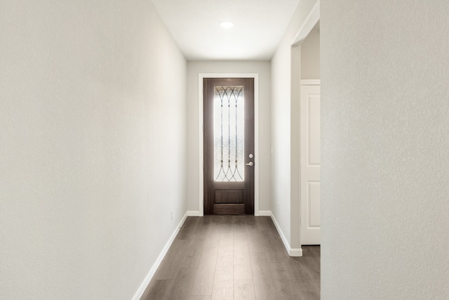 entryway with wood-type flooring