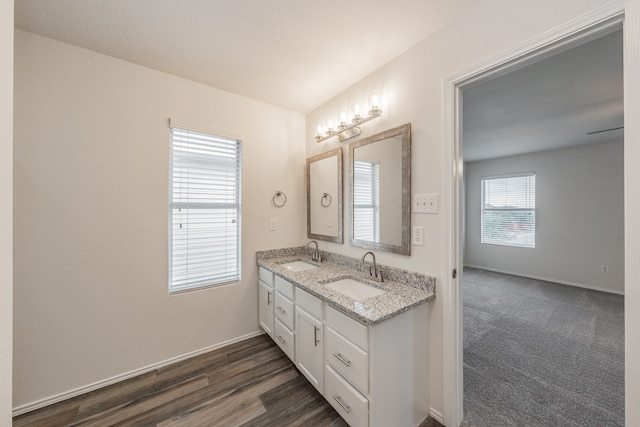 bathroom with dual vanity and hardwood / wood-style flooring