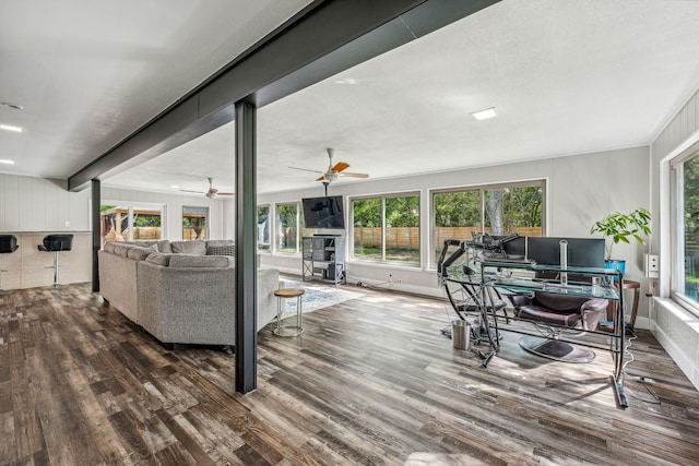 living room with beamed ceiling, dark hardwood / wood-style floors, ceiling fan, and a healthy amount of sunlight