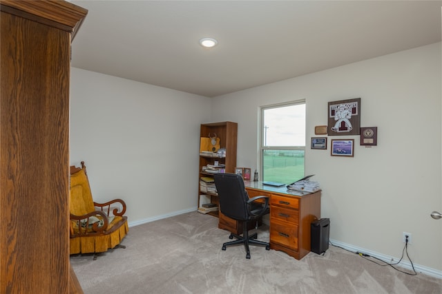 office space featuring light colored carpet