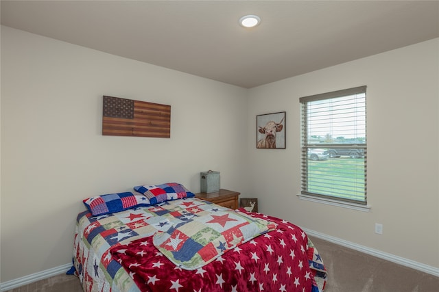 view of carpeted bedroom