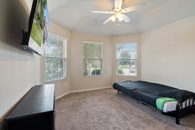 interior space with a tray ceiling, carpet floors, ceiling fan, and multiple windows