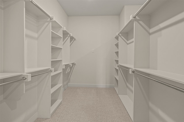 spacious closet with light carpet