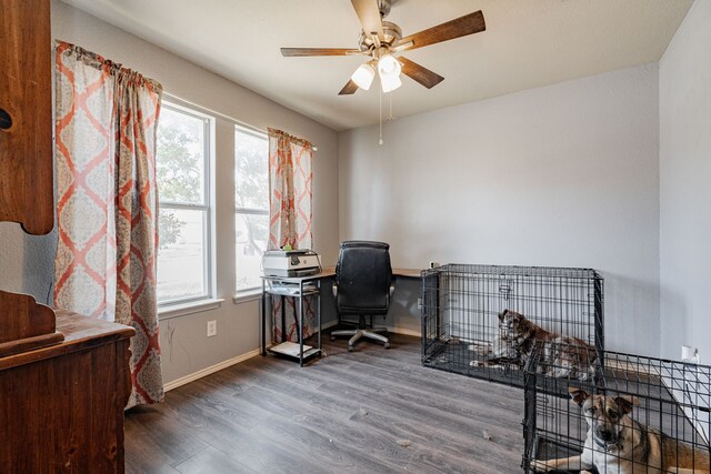 office with ceiling fan and hardwood / wood-style floors