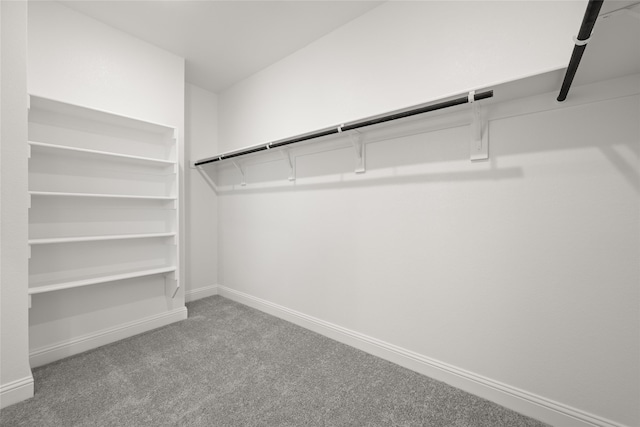 walk in closet featuring carpet