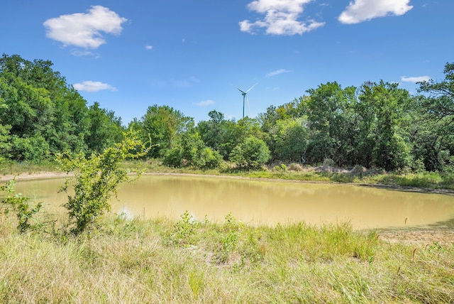 TBD Armstrong Ln, Bryson TX, 76427 land for sale