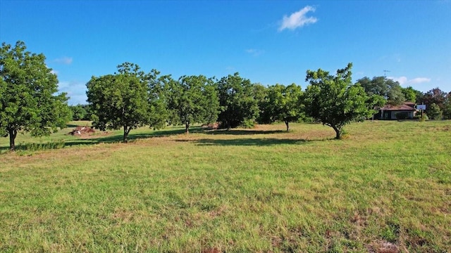 Listing photo 3 for TBD Vernon St, Bells TX 75414