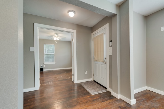 entrance foyer with ceiling fan and dark hardwood / wood-style floors