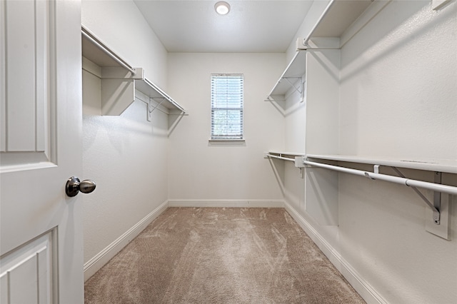 walk in closet featuring light colored carpet