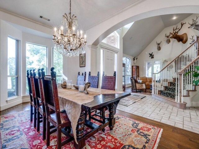 living room featuring dark hardwood / wood-style floors, high vaulted ceiling, and a healthy amount of sunlight