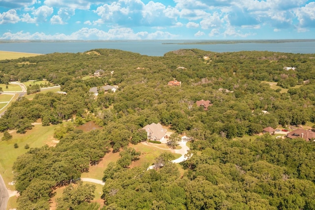 10783 Stagecoach Pass, Pilot Point, TX 76258 - bird's eye view of a forest and a nearby body of water