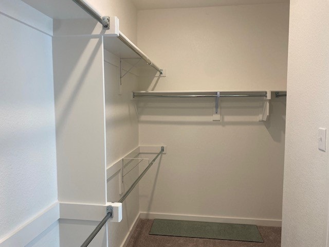 walk in closet featuring carpet