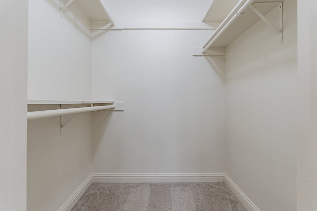 walk in closet with carpet flooring