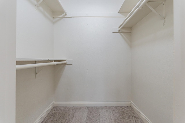 spacious closet with carpet