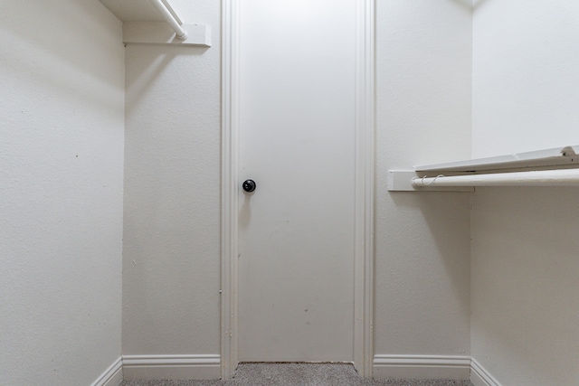 spacious closet with carpet flooring