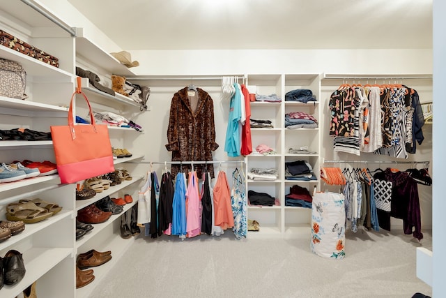 spacious closet featuring carpet