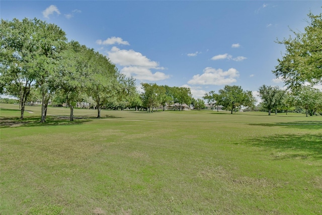 view of community with a yard