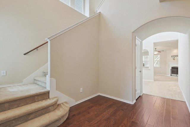 staircase with ceiling fan and hardwood / wood-style flooring