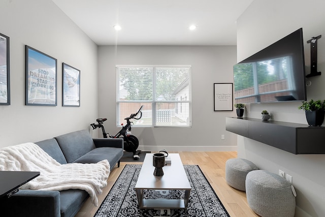 living room featuring light hardwood / wood-style floors