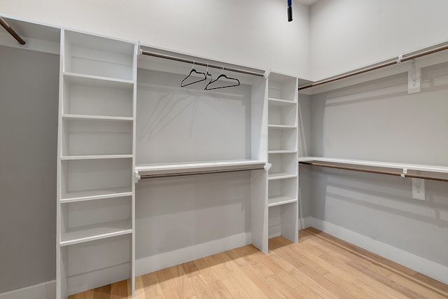 walk in closet with wood-type flooring