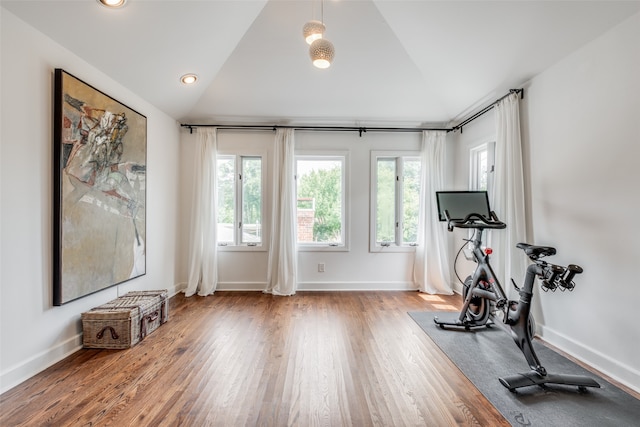 workout area featuring lofted ceiling and wood-type flooring