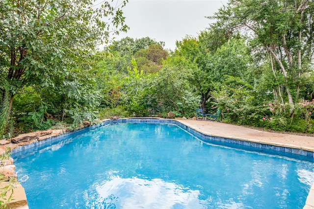 view of swimming pool