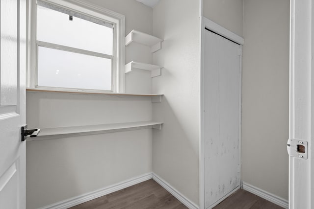 walk in closet featuring wood finished floors