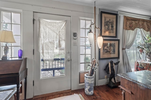 entryway with dark hardwood / wood-style floors