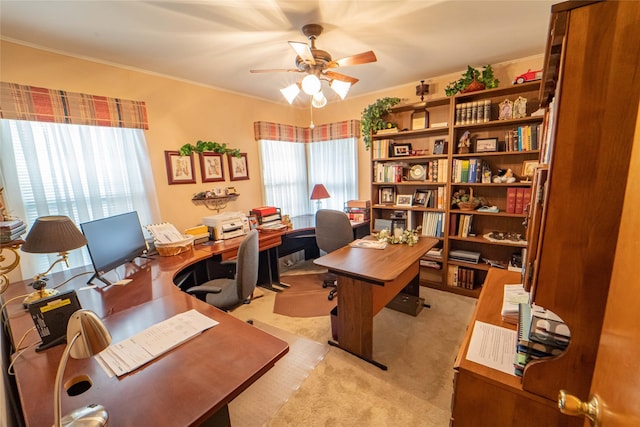 office area featuring light carpet, ornamental molding, and ceiling fan