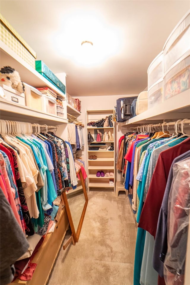 spacious closet featuring carpet floors