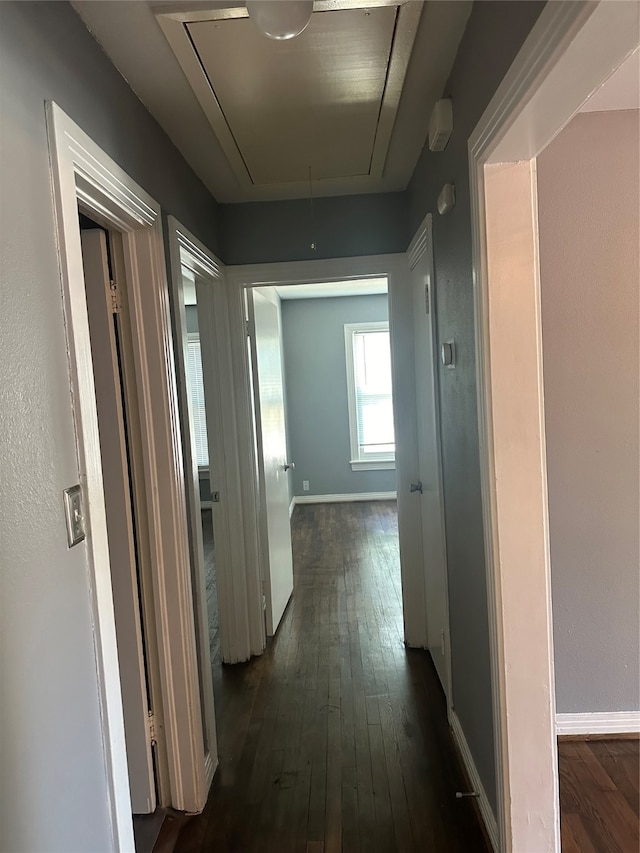 corridor featuring dark hardwood / wood-style floors