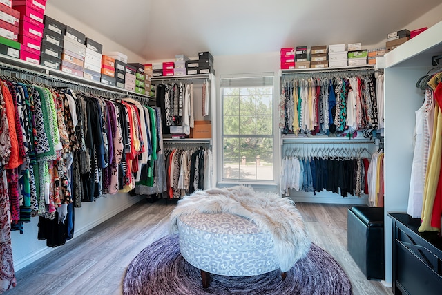 walk in closet with wood-type flooring