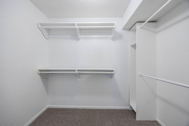 spacious closet featuring carpet floors