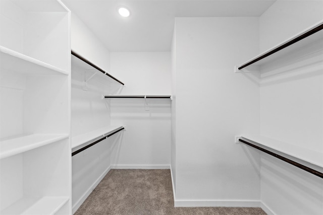 spacious closet with light colored carpet