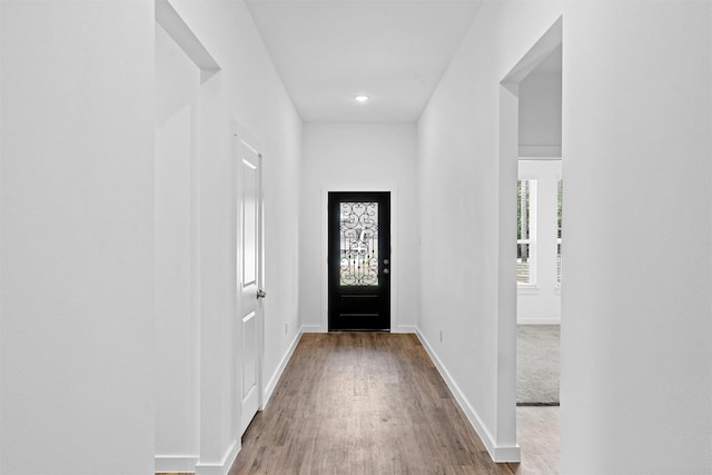 entrance foyer with hardwood / wood-style flooring