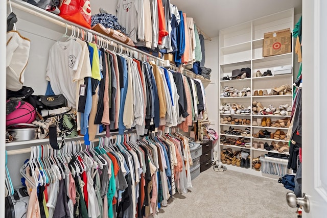 walk in closet with carpet floors