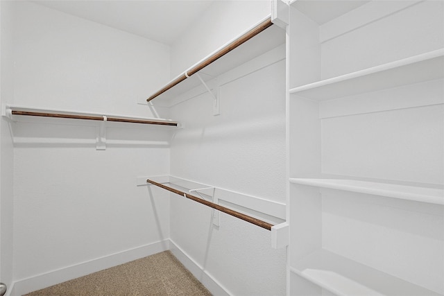 spacious closet with light carpet