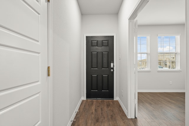 interior space with dark hardwood / wood-style floors