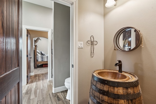 bathroom featuring vanity, toilet, and wood-type flooring